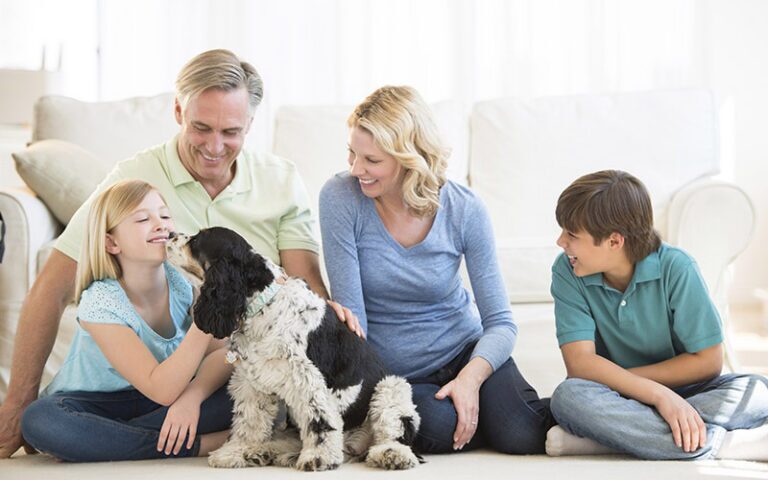 happy family with dog