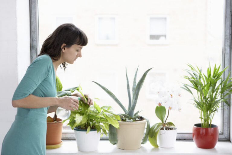 Indoor Air Quality