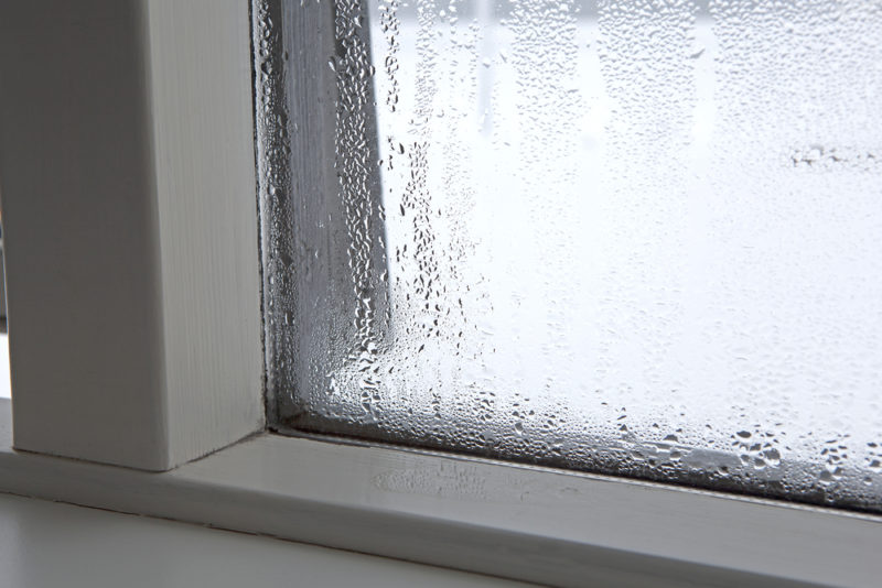 How to Handle the Humidity in Your Orlando, FL Home