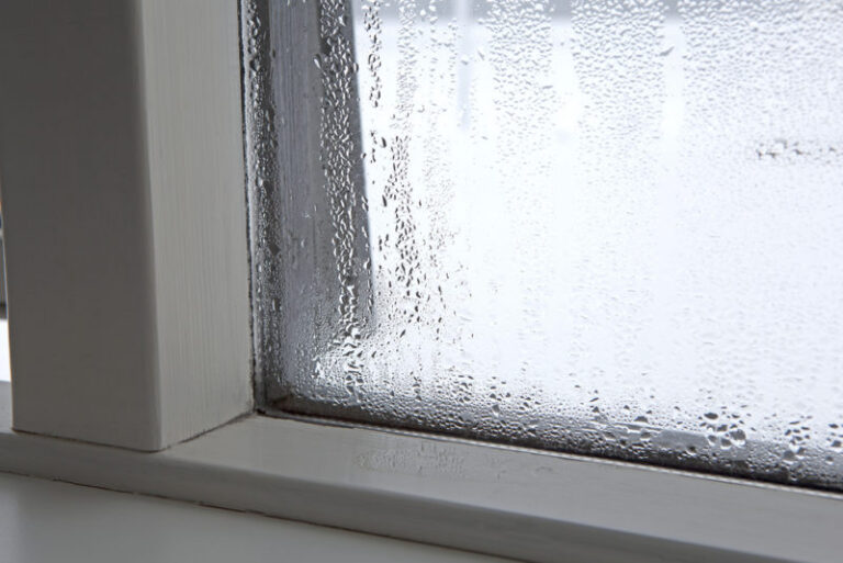 condensation on window