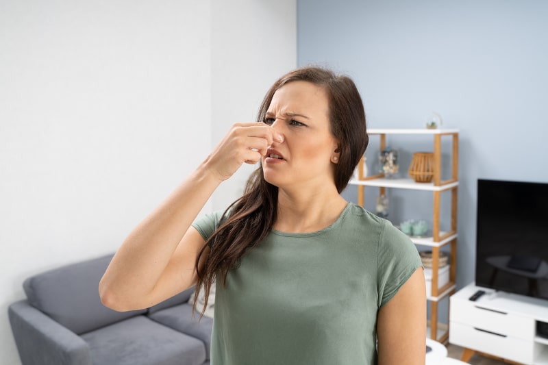4 AC Odors and What They Mean in Lake Mary, FL