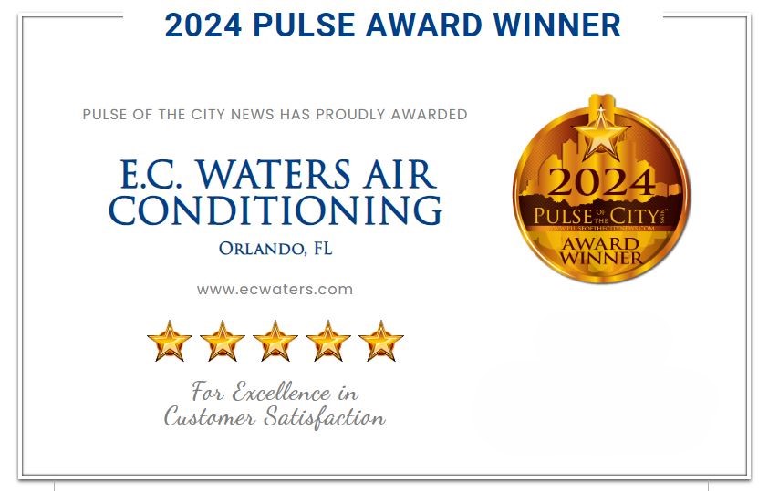 2024 Pulse of the City Award