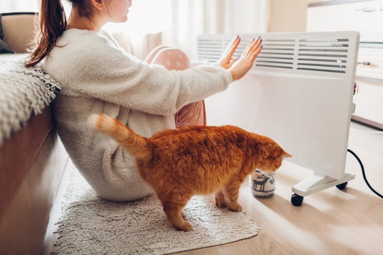 pets impact IAQ
